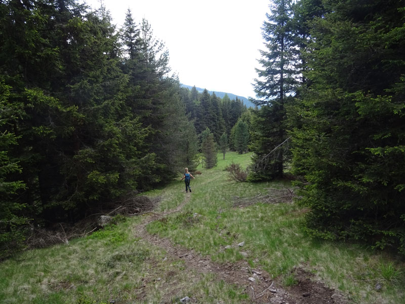 Catena dei Lagorai...da Pergine al Passo del Manghen